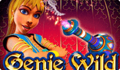 Быстрые выигрыши в игровом автомате Genie Wild